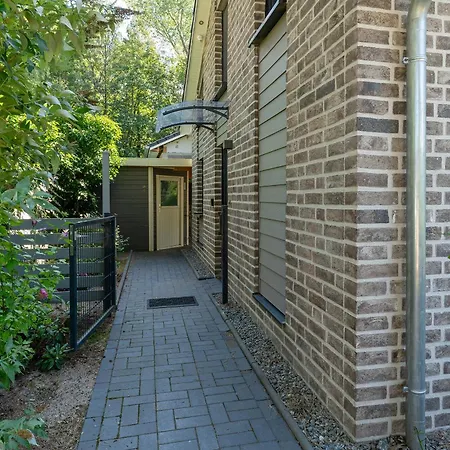 Muschel 16 Lubeck